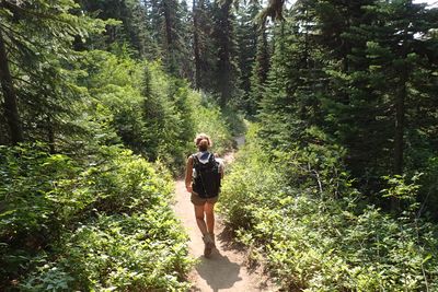 Following the trail