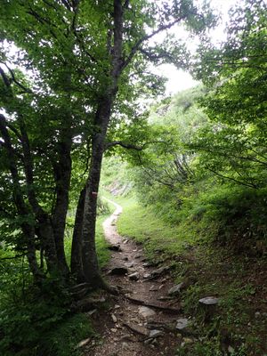 Mountain trail