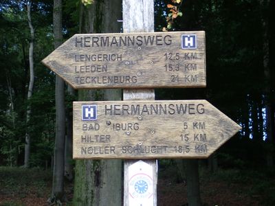 Stage 3: Signpost