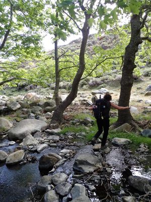 Crossing a stream