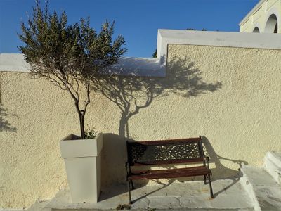 Bench and plant pot
