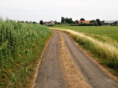 Stage 6: Country road