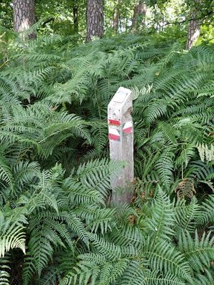 Stage 13: Trail marker