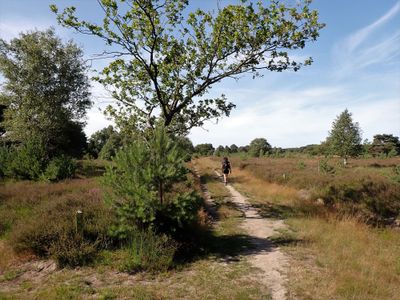Stage 14: Landschotse Heide