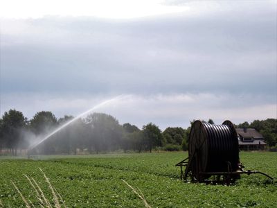 Stage 14: Irrigating crops