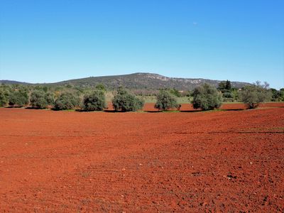 Stage 7: Red soil