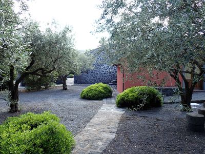 Hotel garden