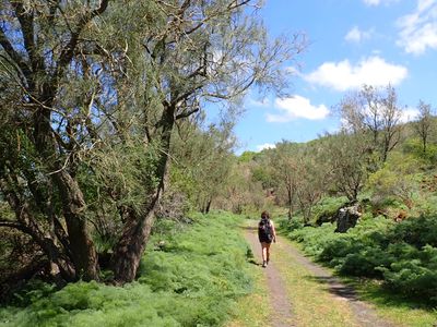 Hiking along