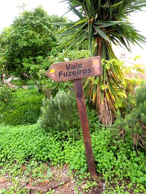 Signpost