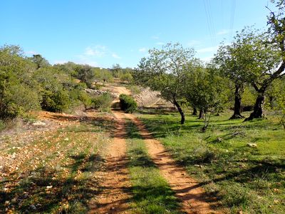 Country road
