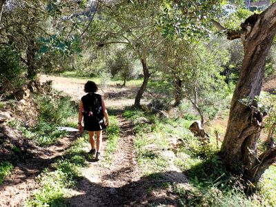 Rural hike