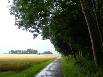 Stage 21: Eeckerweg