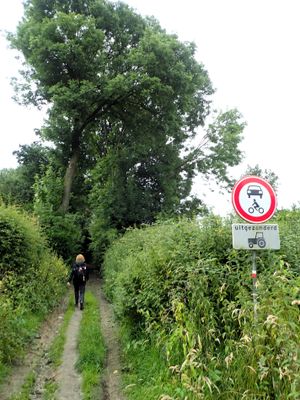 Stage 22: At the start