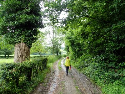 Stage 22: Country road