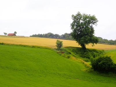 Stage 22: Meadows