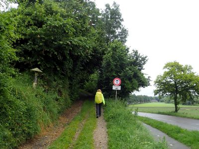 Stage 23: At the start