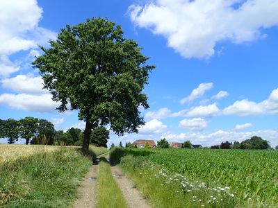 Stage 23: Country road