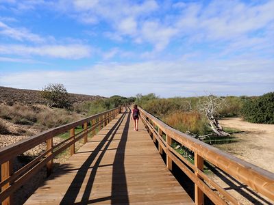 Boardwalk