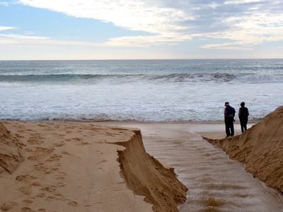 Beach scene