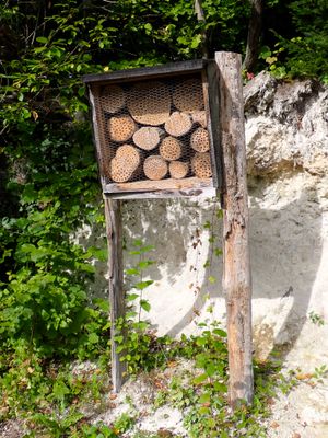 Stage 1: Insect hotel