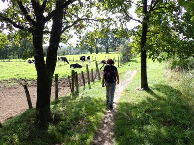 Stage 1: Approaching Roetgen