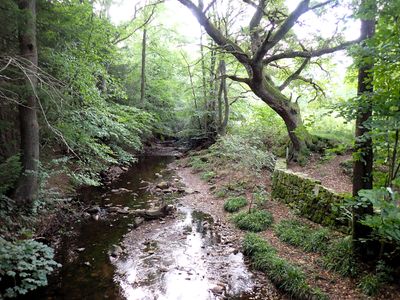 Stage 2: Brook