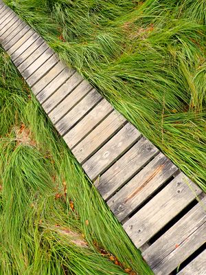 Stage 2: Boardwalk