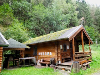 Stage 3: Forest museum