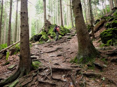 Stage 3: Steep climb