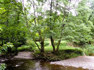 Stage 3: Riverbanks