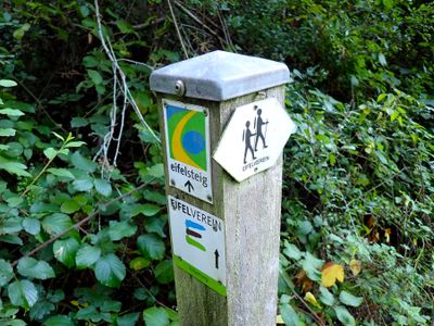 Stage 5: Trail post