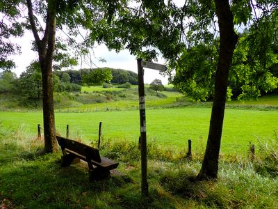Stage 5: Bench