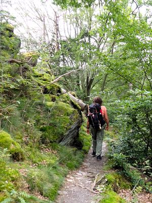 Stage 3: Rocky trail