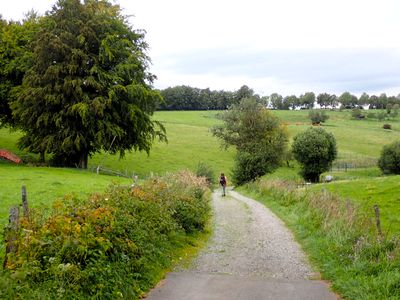 Stage 3: Rolling pastures
