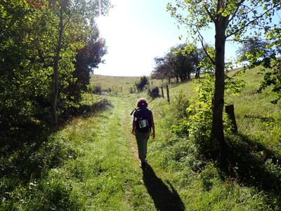 Stage 6: Grassy path
