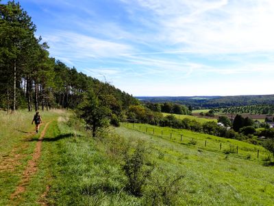 Stage 7: Wide landscape