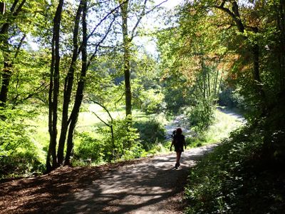 Stage 8: Along the brook