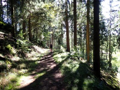 Stage 6: Hiking along