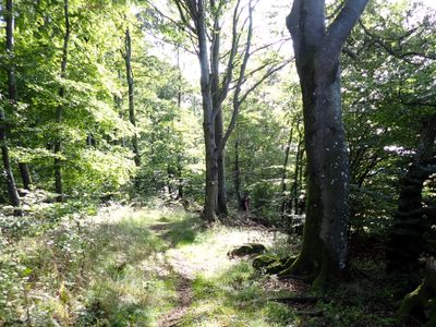 Eifelsteig, Germany (Sep - Oct 2023)