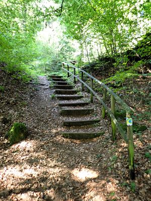 Stage 9: Steps