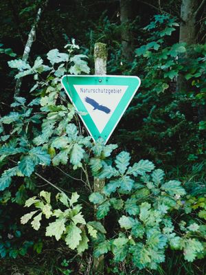 Stage 10: Naturschutzgebiet