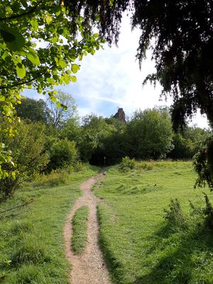 Stage 9: Small trail