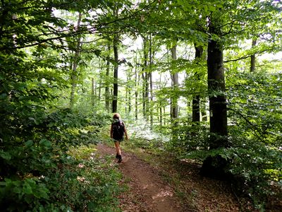 Stage 10: Hiking along