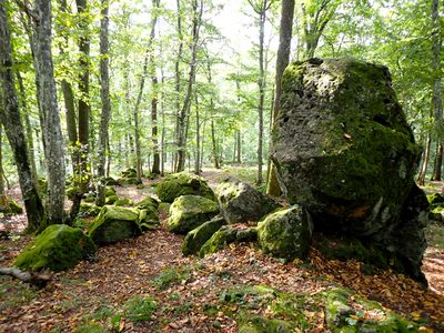 Stage 10: Boulders