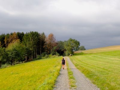 Stage 11: Country road