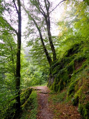 Stage 12: Carved trail