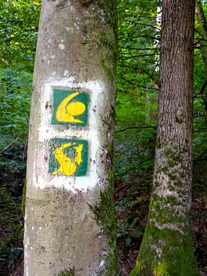 Stage 14: Trail markers