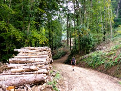 Eifelsteig, Germany (Sep - Oct 2023)