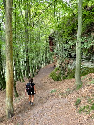Stage 15: Crooked path