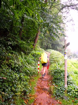 Eifelsteig, Germany (Sep - Oct 2023)
